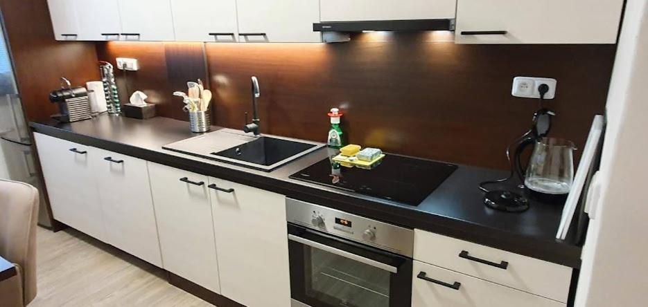 Academic Apartment Brünn  Kültér fotó