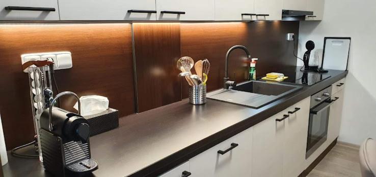 Academic Apartment Brünn  Kültér fotó